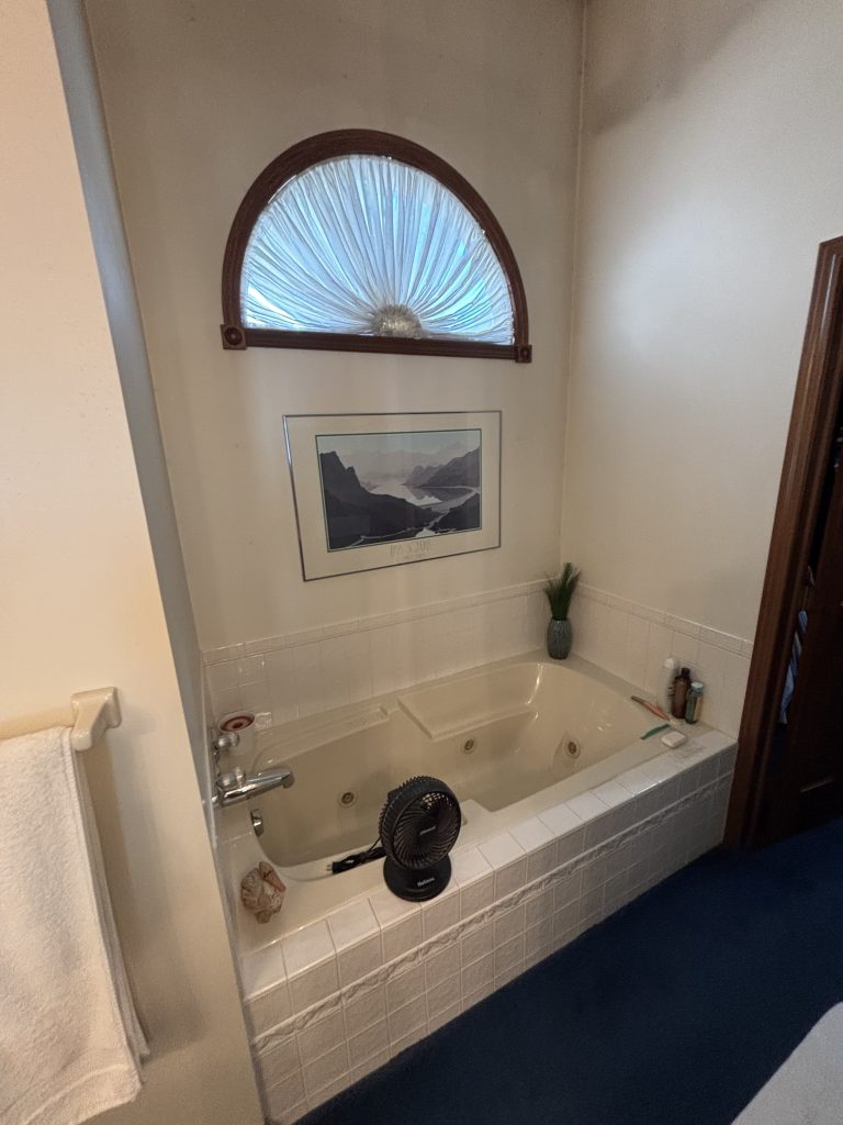 before bathroom remodel northwest ohio