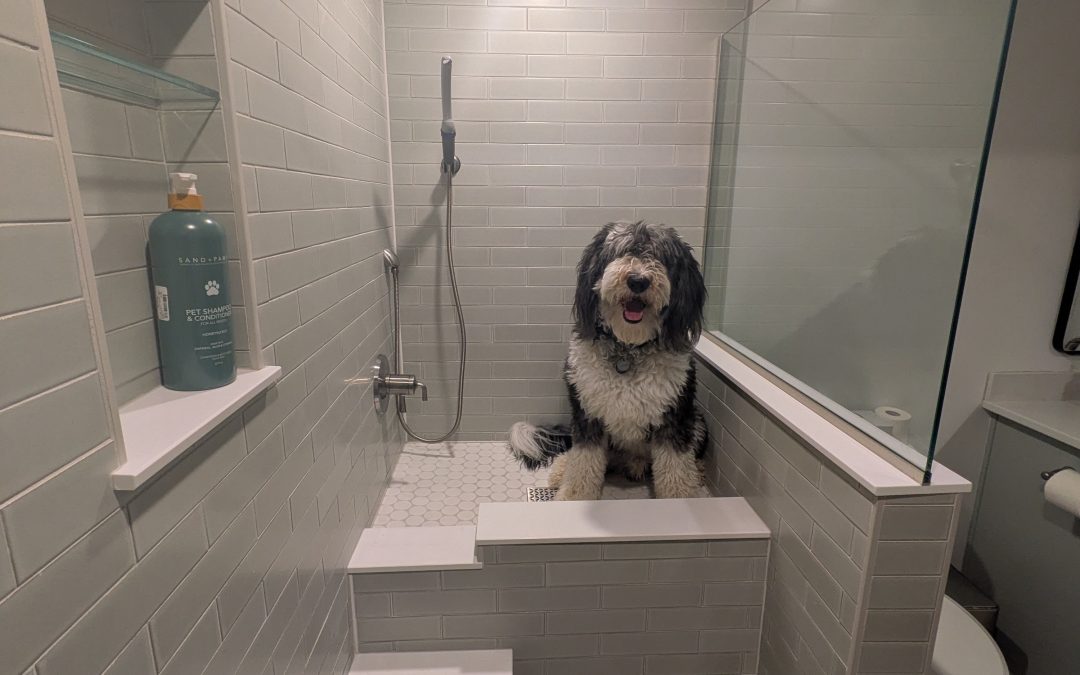 A Custom Basement Shower Built for Humans & Dogs in Whitehouse, Ohio | KCS